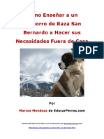 Como Enseñar a un Cachorro de Raza San Bernardo a Hacer sus Necesidades Fuera de Casa (1)