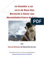 Como Enseñar A Un Cachorro de Raza San Bernardo A Hacer Sus Necesidades Fuera de Casa