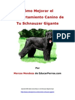 Cómo Mejorar El Comportamiento Canino de Tu Schnauzer Gigante