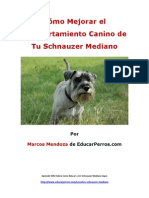 Cómo Mejorar el Comportamiento Canino de tu Schnauzer Mediano