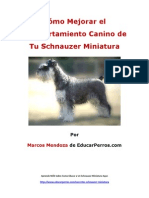 Cómo Mejorar El Comportamiento Canino de Tu Schnauzer Miniatura