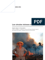 19280786 WWF 2007 Los Circulos Viciosos de La Amazonia