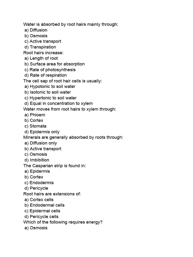 Absorption Worksheet Class 10 | PDF