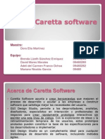 Caretta Software