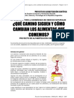 Propuesta Qué Camino Siguen Los Alimentos Que Comemos