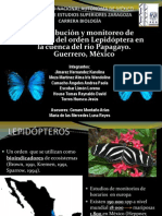 Distribución y monitoreo de horarios de lepidópteros en la cuenca del río Papagayo, Guerrero