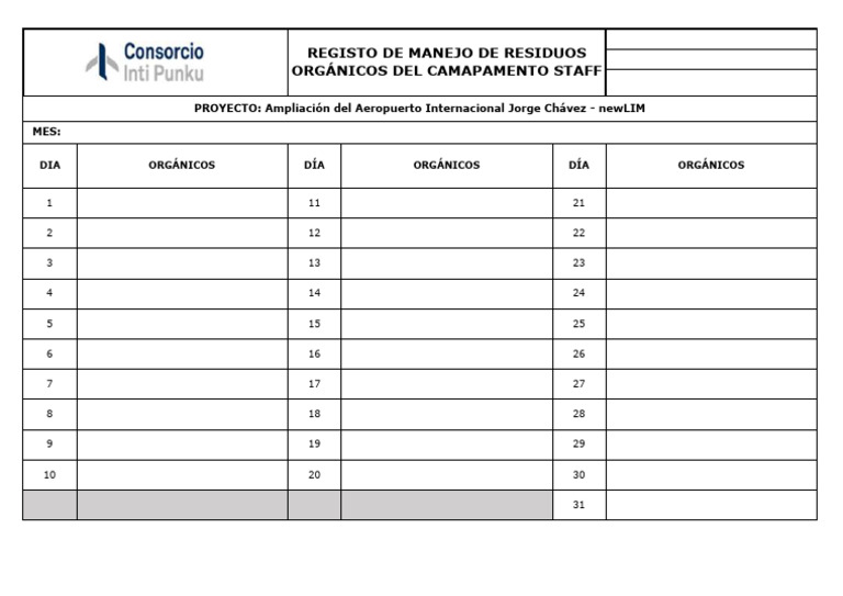 Formato Rrss Organicos Lap | PDF