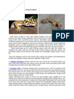 Mudahnya Memelihara Gecko Leopard