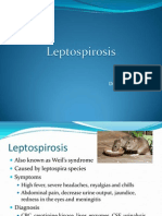 Leptospirosis: Symptoms, Causes, Statistics, Prevention