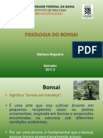 Fisiologia Do Bonsai