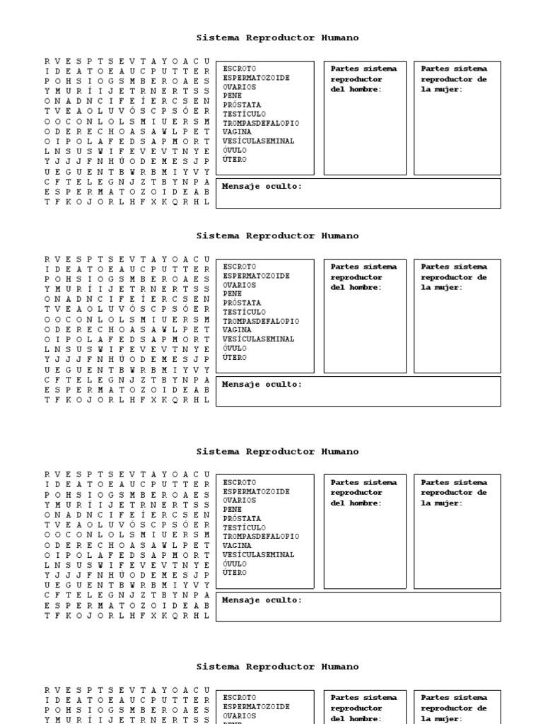 Sopa de Letras: Sistema Reproductor | PDF