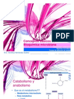 Conceptos_basicos_Bioqmicro