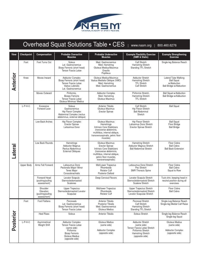 NASM Solutions Table Expanded (PDF, 40k) | PDF | Anatomical Terms Of ...