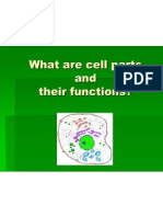 What Are Cell Parts and Their Functions?