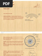 Timber Conversion Methods Explained | PDF | Wood | Lumber