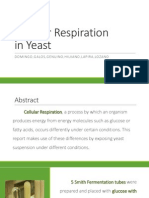 Exercise 14 - Cellular Respiration in Yeast
