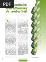 Extração de alcool combustivel do abacaxi