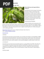 Download Guava as an Herbal Medicine by Caira Joyce Bernales SN105113948 doc pdf