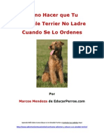 Como Hacer que Tu Airedale Terrier No Ladre Cuando De Lo Ordenes