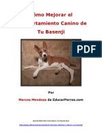 Como Mejorar el Comportamiento Canino de tu Basenji