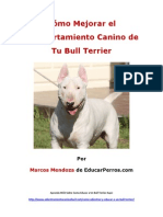 Como Mejorar el Comportamiento Canino de tu Bull Terrier
