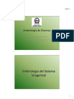 Embriología de Sistemas Urogenital y Digestivo