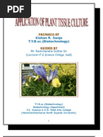 Download Ptc Ty Kishan by pssdha SN10514474 doc pdf