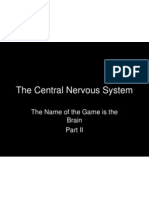 The Central Nervous System: The Name of The Game Is The Brain