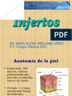 INJERTOS PRESENTACION