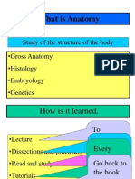 What Is Anatomy: Study of The Structure of The Body - Gross Anatomy - Histology - Embryology - Genetics