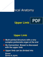 Upper Limb - Clinical Anatomy