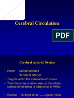 CNS Blood Circulation