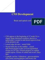 CNS Development