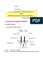 12 Electrolysis Cell