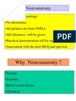 Neuroanatomy_1