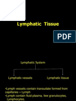Lymphatic Tissue