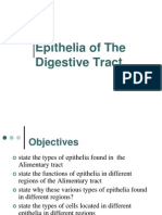 02. Epithelia of Digestive Tract