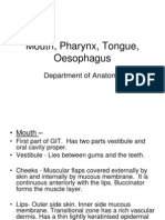 03. Mouth, Pharynx, Tongue, Oesophagus