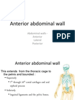 06. Anterior Abdominal Wall