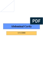 Abdomen Abdominal Cavity
