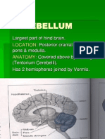 Physiology of Cerebellum Lec Foe 2nd Year by DR Sadia Uploaded by Zaigham