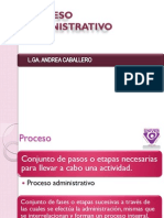 Proceso Administrativo