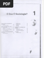 o q é sociologia