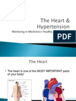 Hypertension Presentation For High School Students