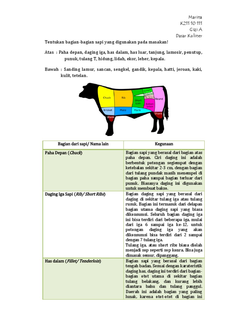 Bagian-Bagian Daging Sapi dan Kegunaannya | PDF | Kesehatan Holistik