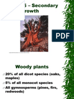 Chapter 5 - Secondary Growth