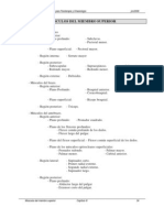 Miembro Superior Musculos