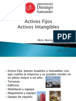 Activos Fijos