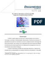 Em 1953 Foi Descoberta A Estrutura Do DNA: Etapas de Um Grande Avanço Científico