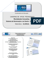 Revisao Especial-Caderno de Apoio